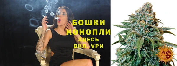 трава Бородино