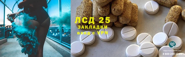 трава Бородино