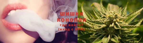 трава Бородино