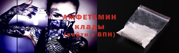 гидра Бронницы