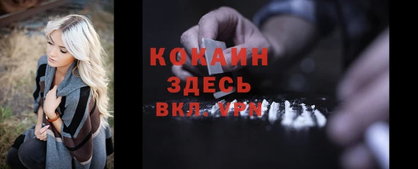 трава Бородино