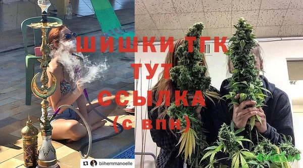 трава Бородино