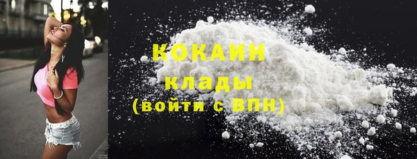 гидра Бронницы