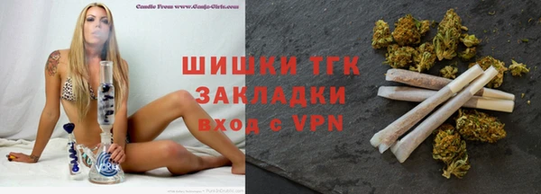 трава Бородино