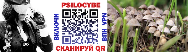 Галлюциногенные грибы Psilocybine cubensis  Нариманов 